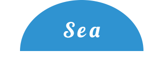 Sea　海のアクティビティ
